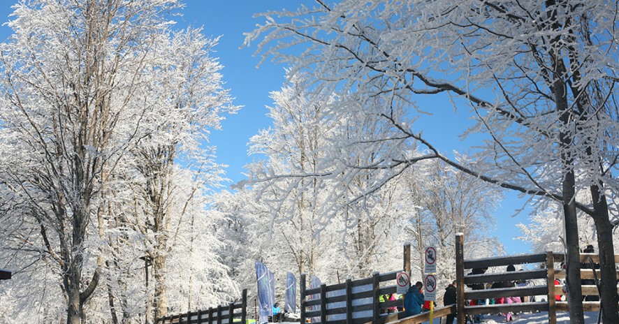 Hotel Stara Planina 1