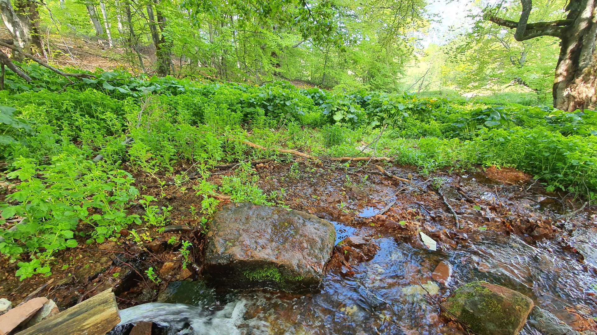 Prvi Maj na KROVU SRBIJE!