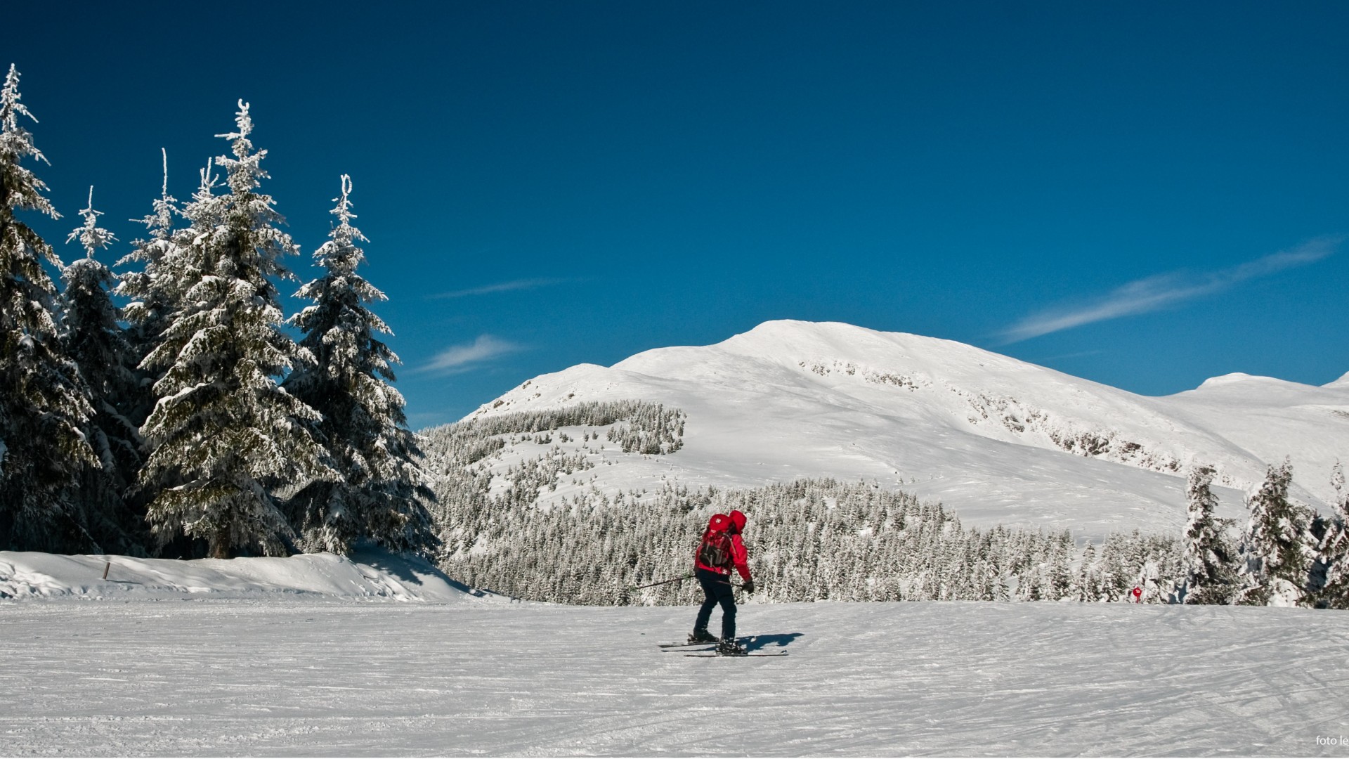 Januarski Last Minute!