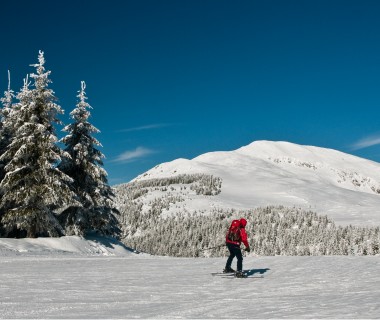 Januarski Last Minute!