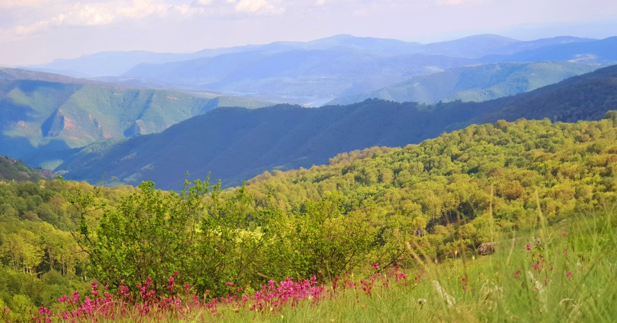 Hotel Stara Planina 4